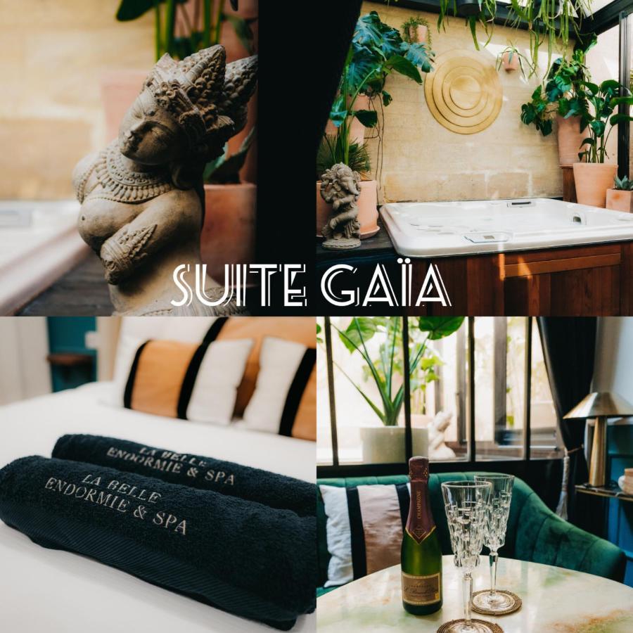 La Belle Endormie B&B French Guest House 波尔多 外观 照片